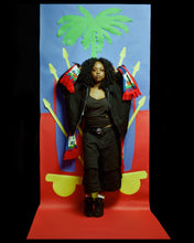 Load image into Gallery viewer, haitian flag scarf by robert provilus.
